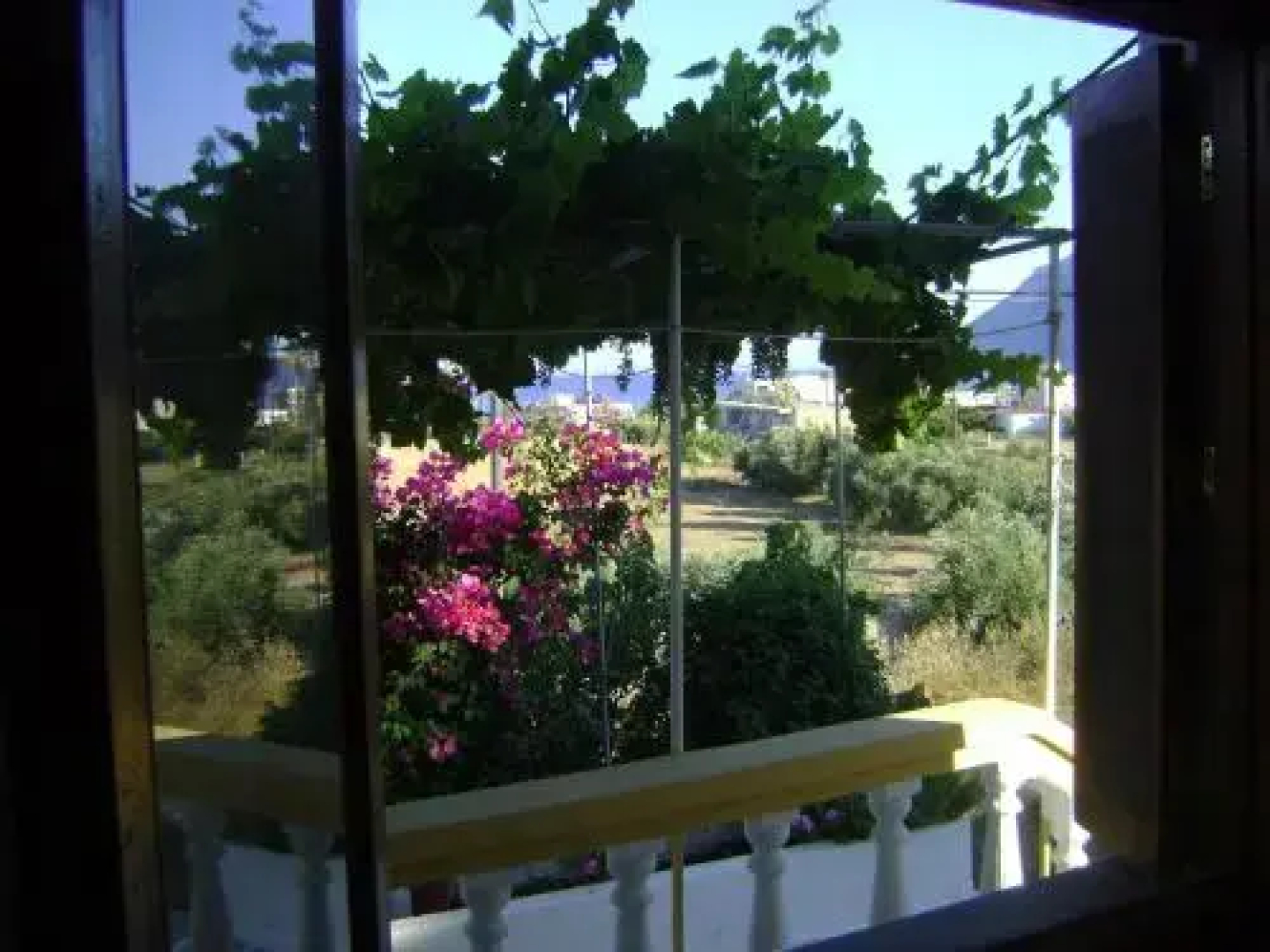 Panormitis Studios
