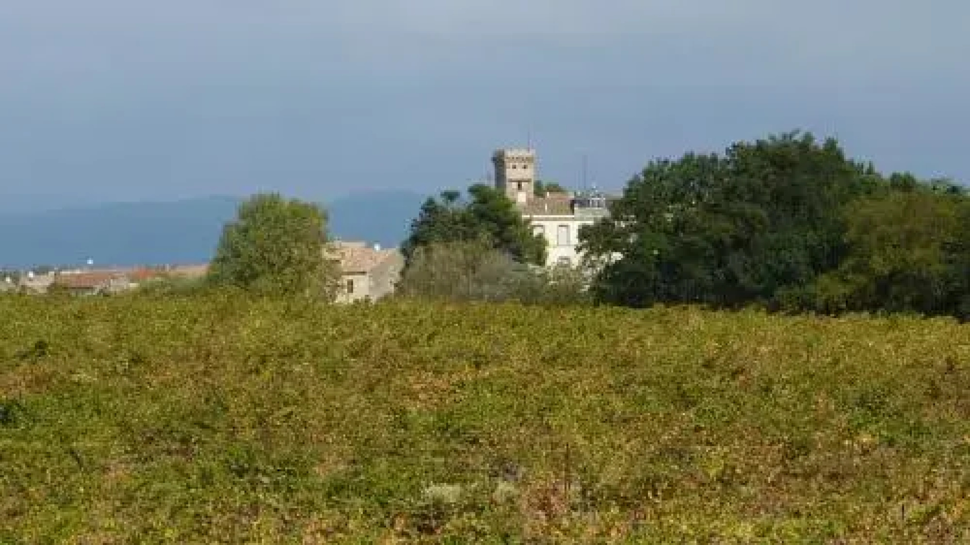 Chambres d'hôtes L'Ecrit Vin