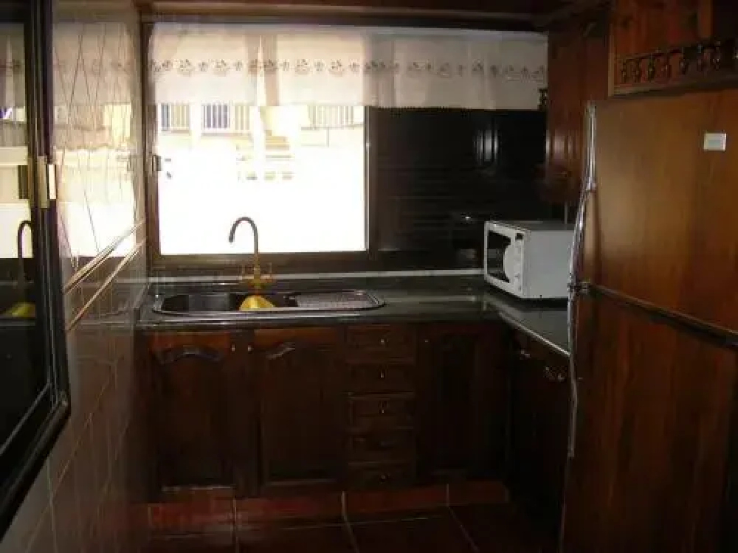 Dolphin House