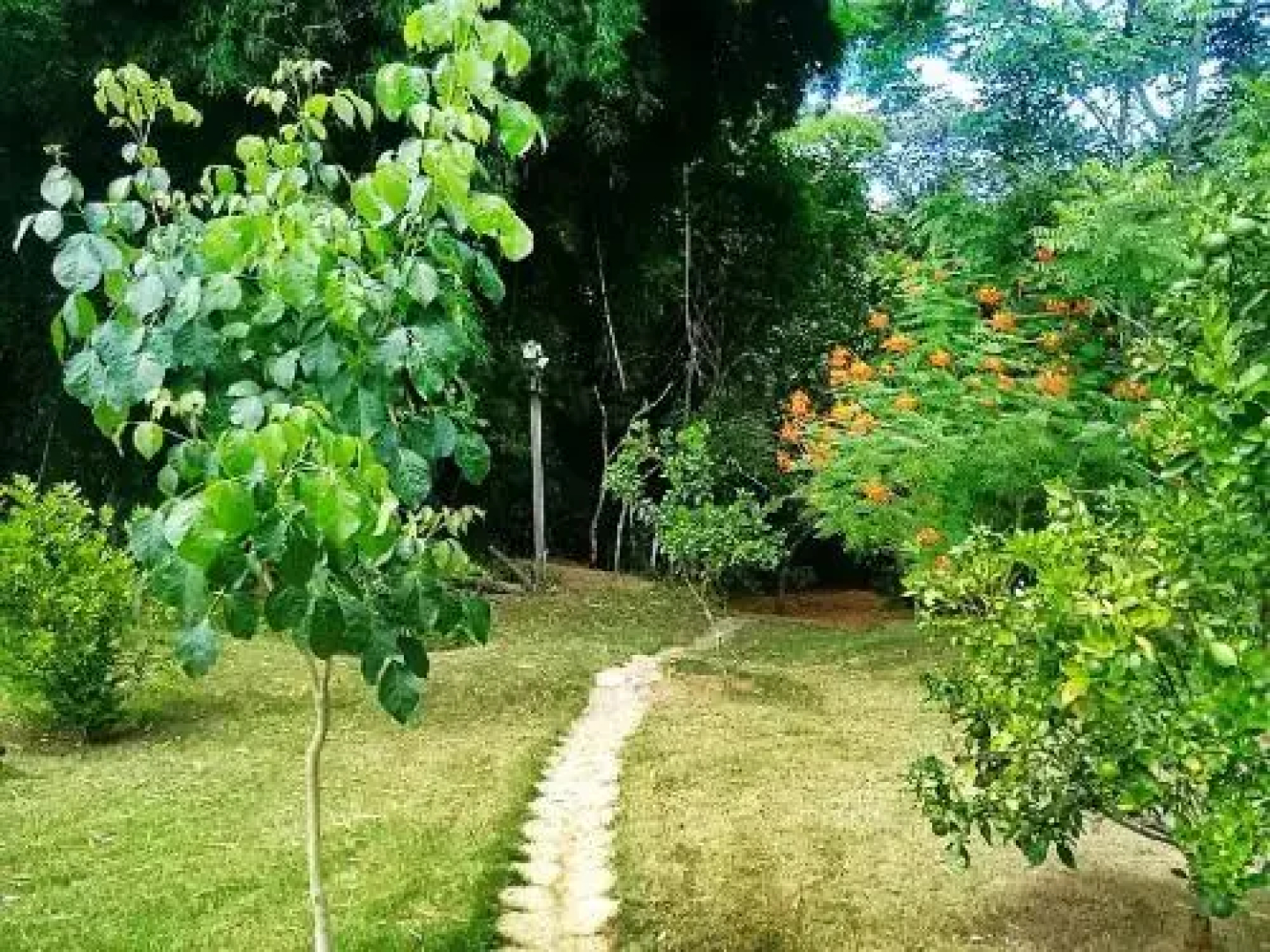 Pousada Orquideas da Canastra