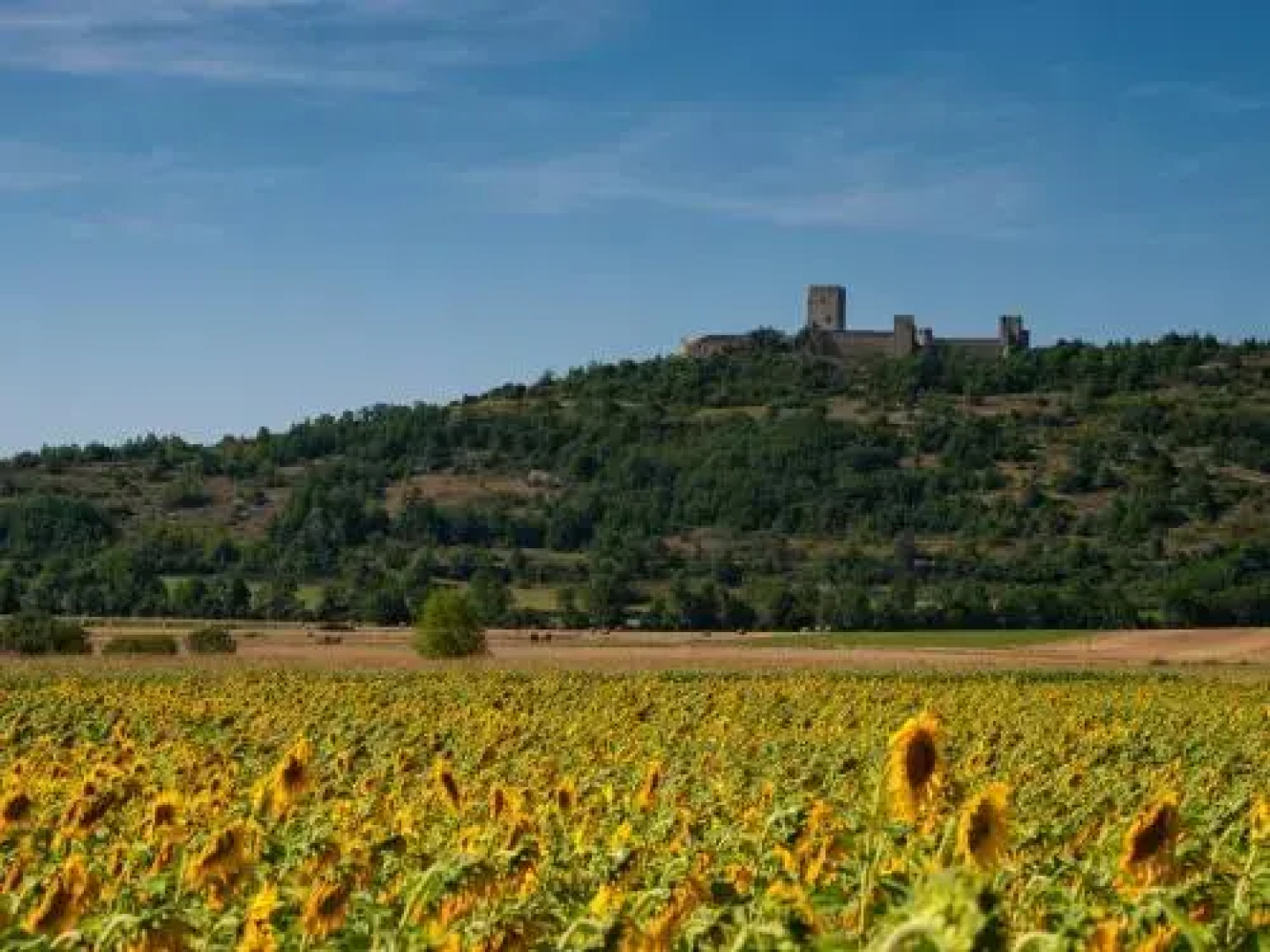 Chambres d’Hôtes Horizons Verts