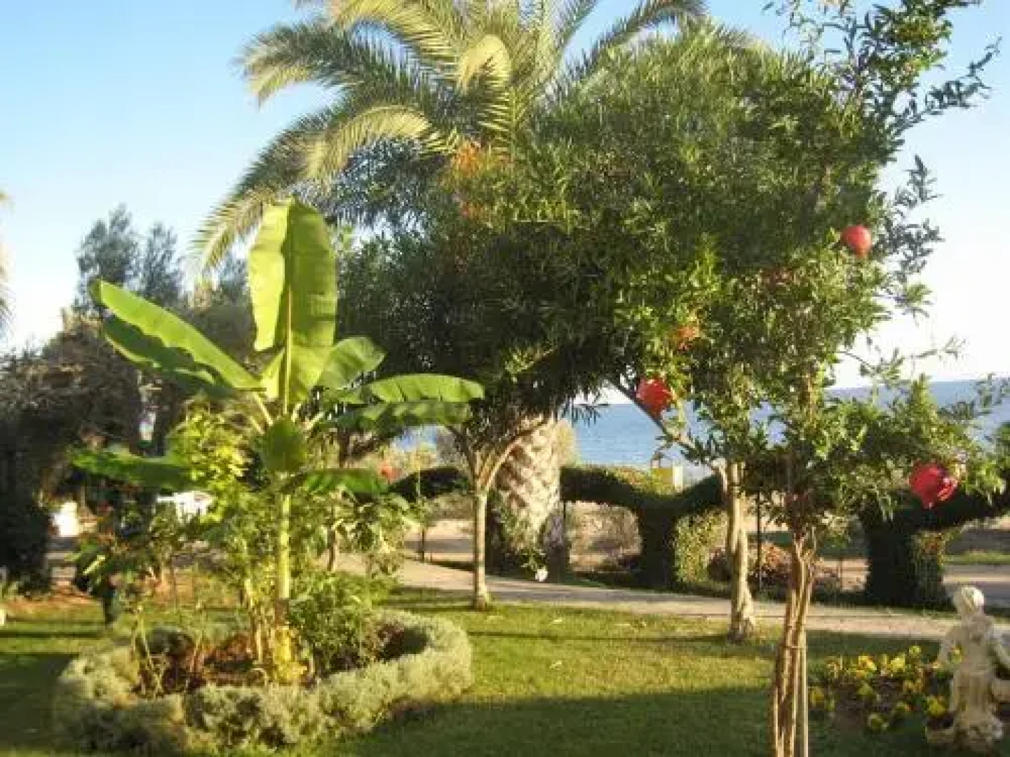 Pension Nikos