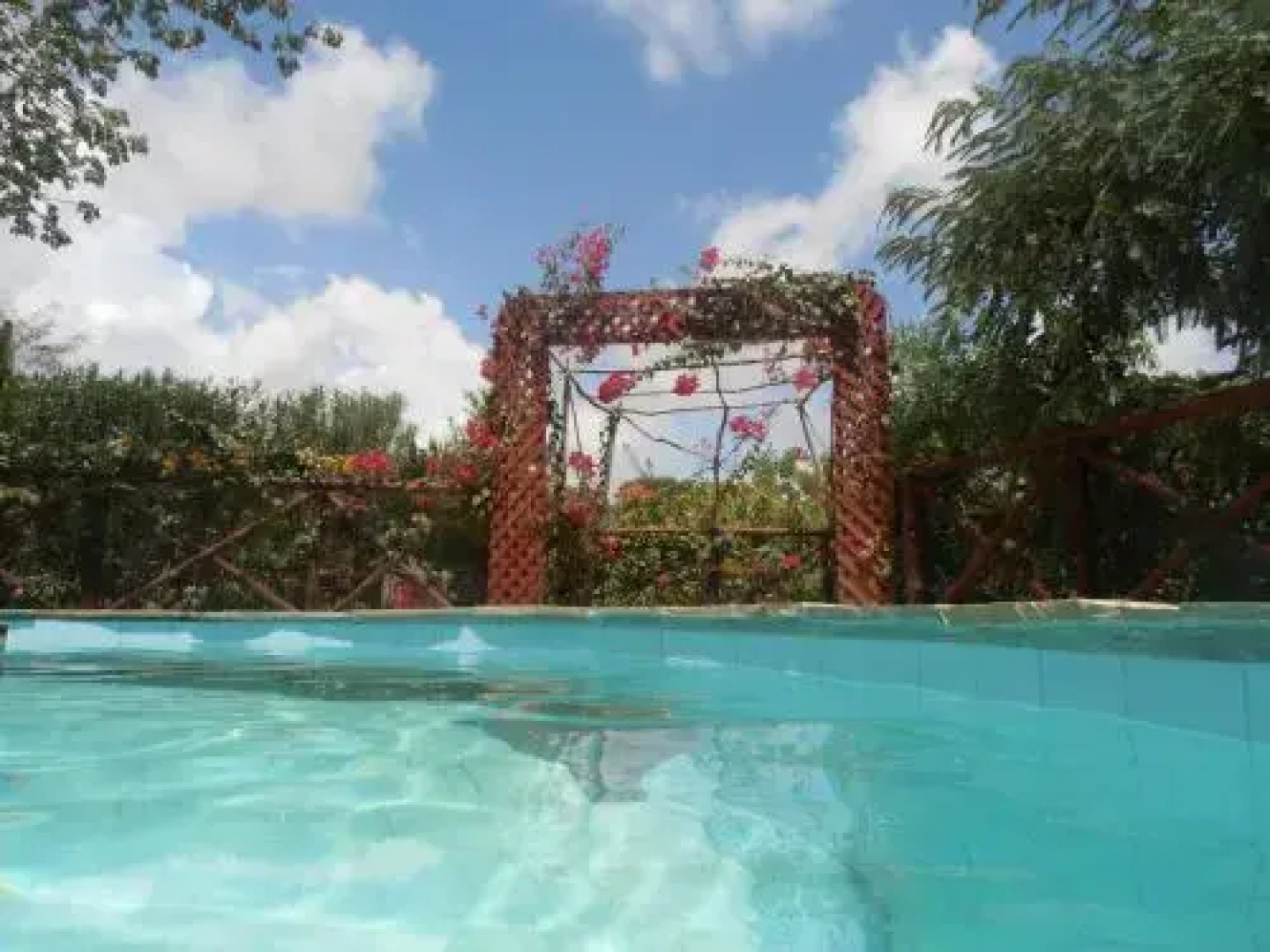 Tropical Garden House