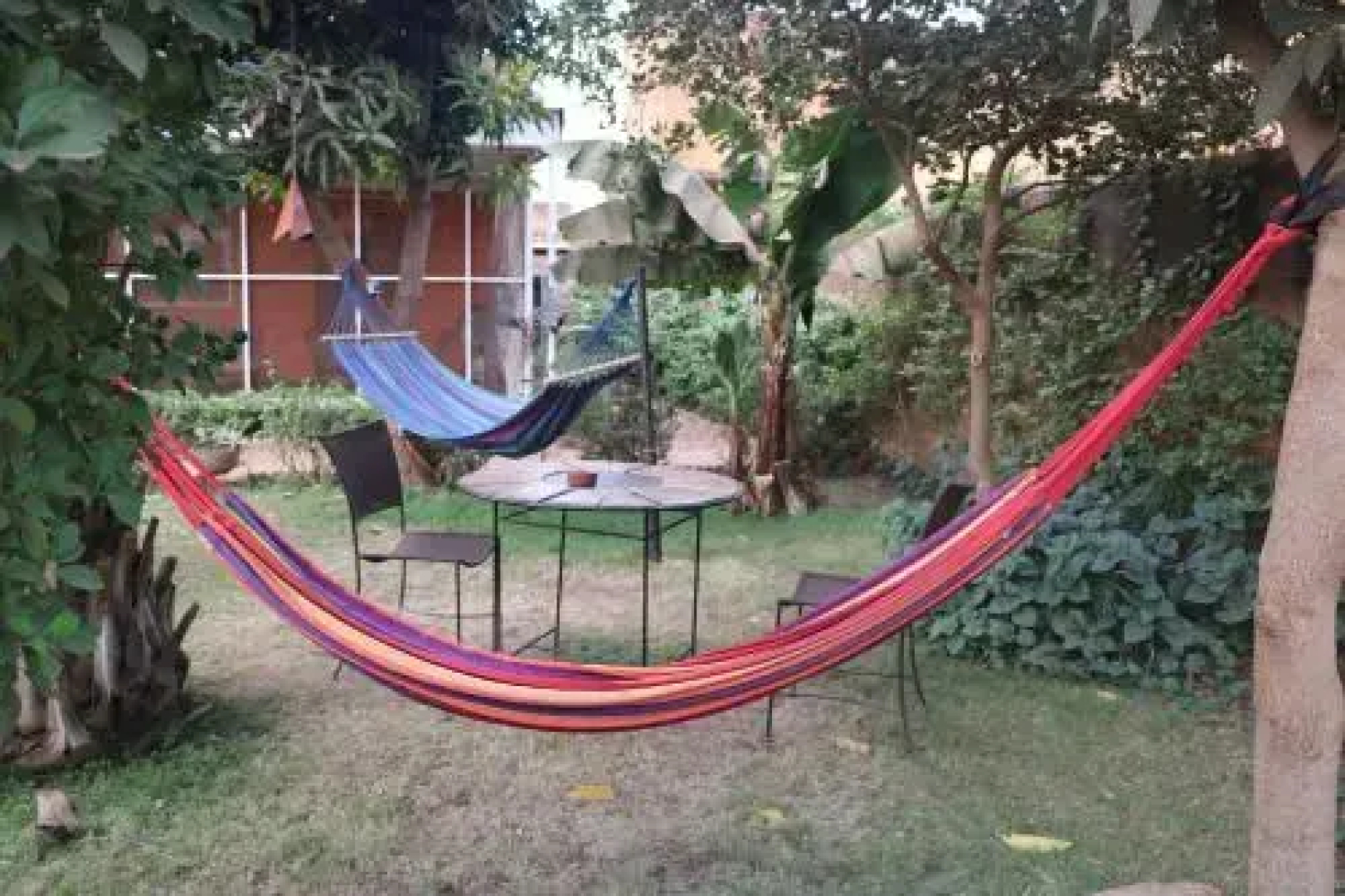 Chez Mam'bolo