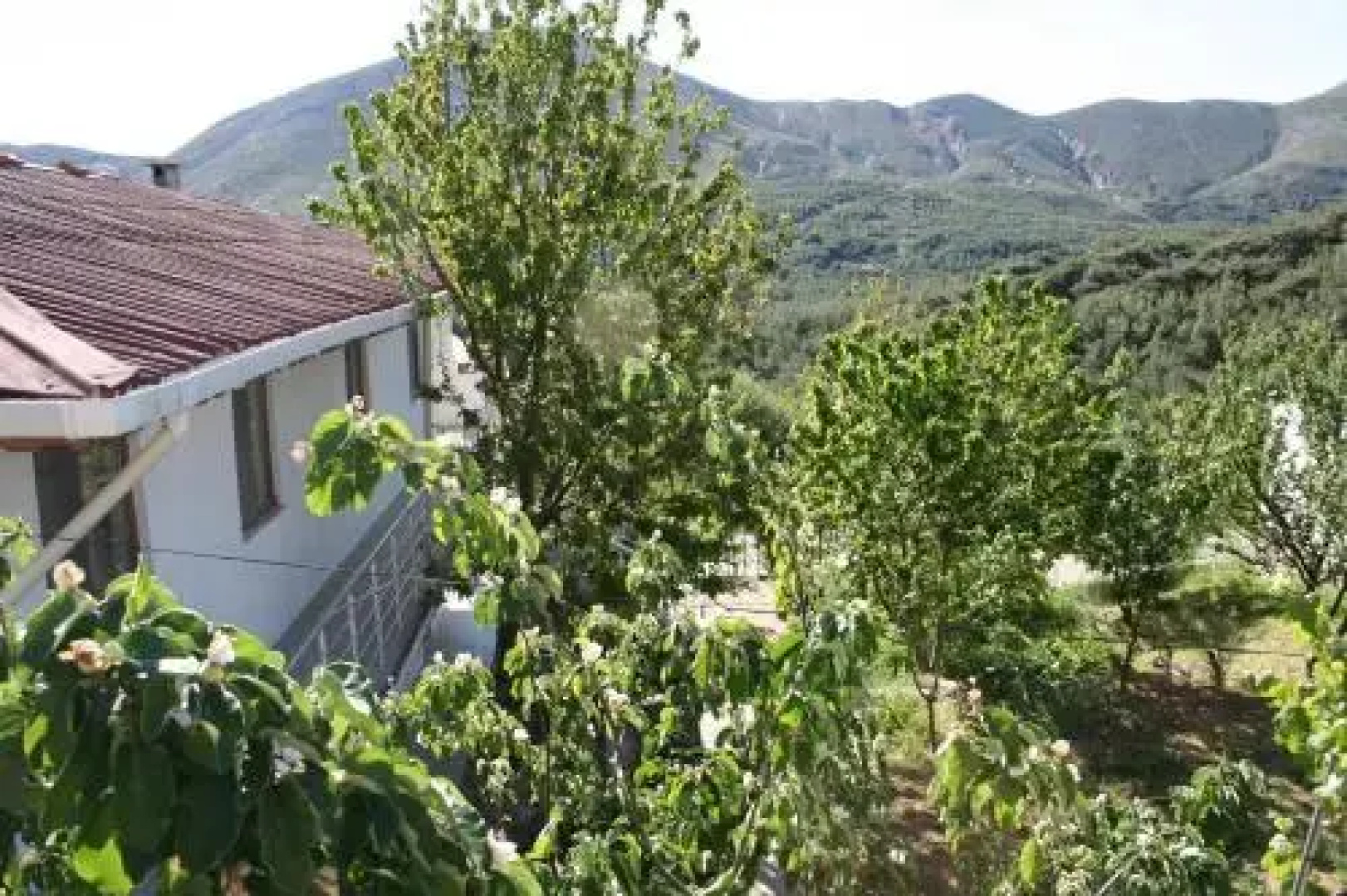 Yayla Pansiyon