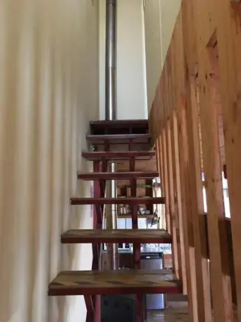 El bosque del canelo