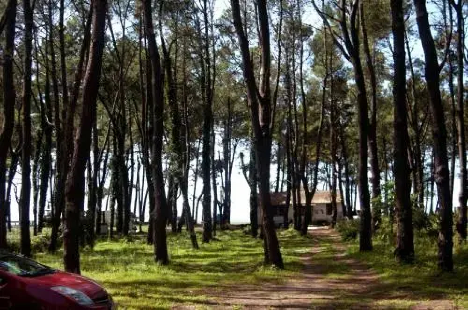Shekvetili Beach House