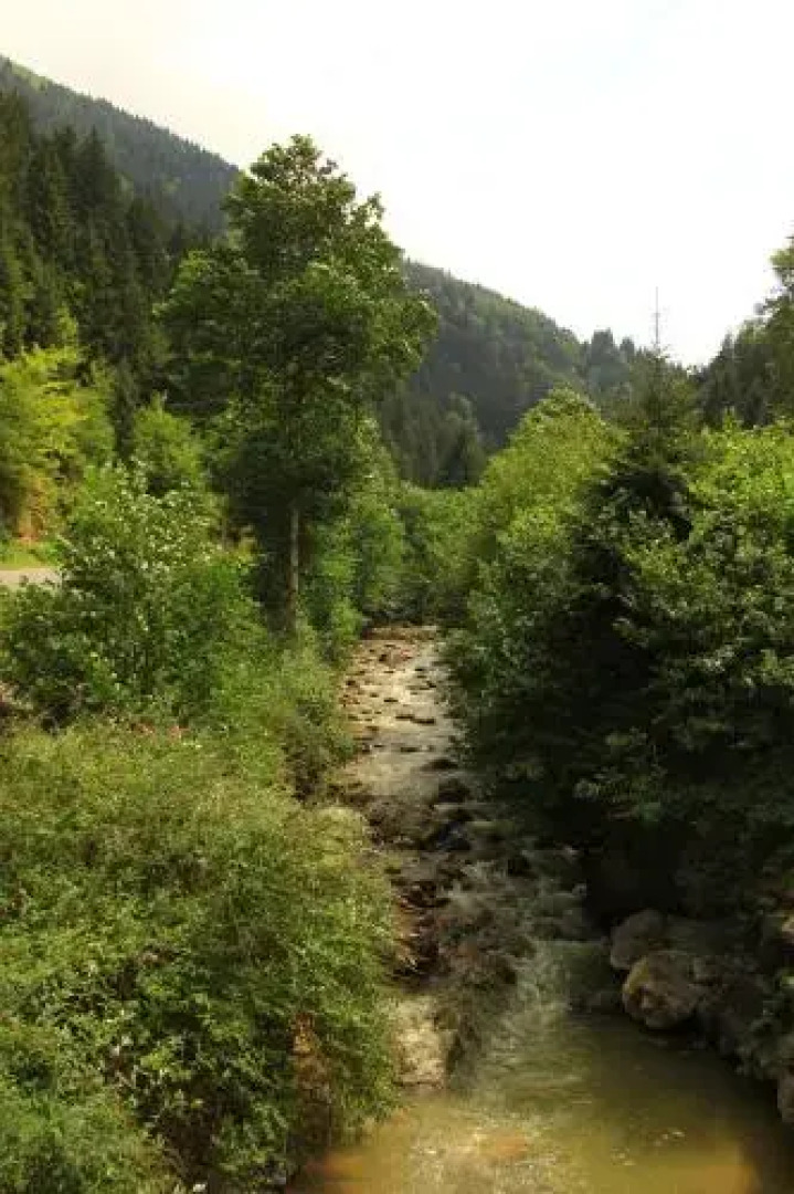 Kayalar Pansiyon