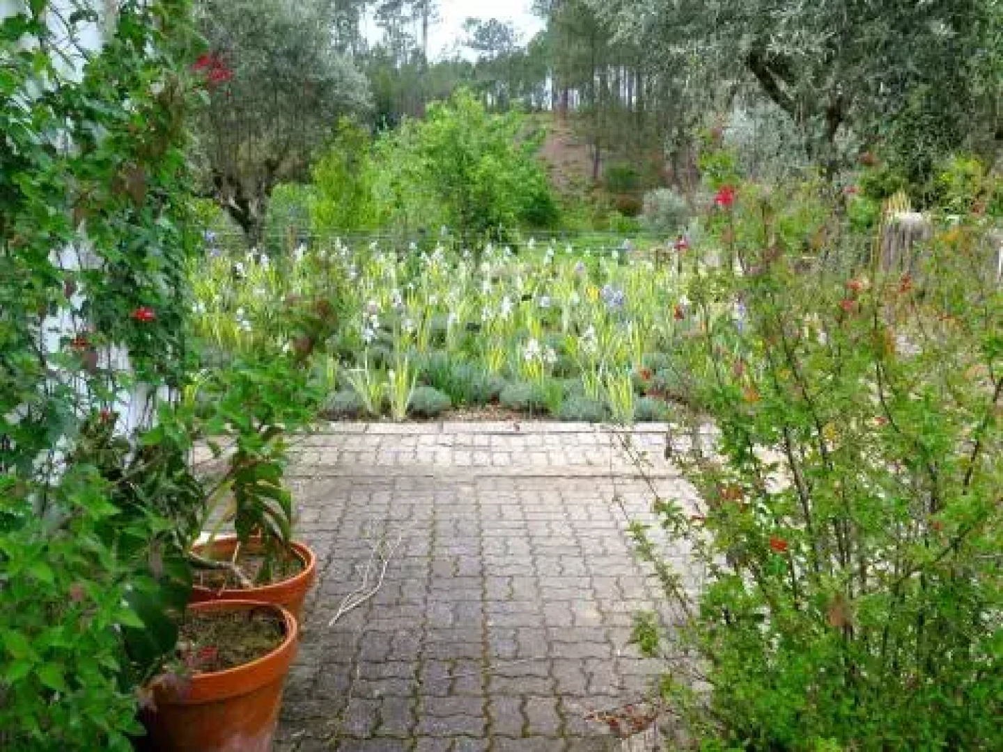 Casa Aloes Quinta das Mil Flores