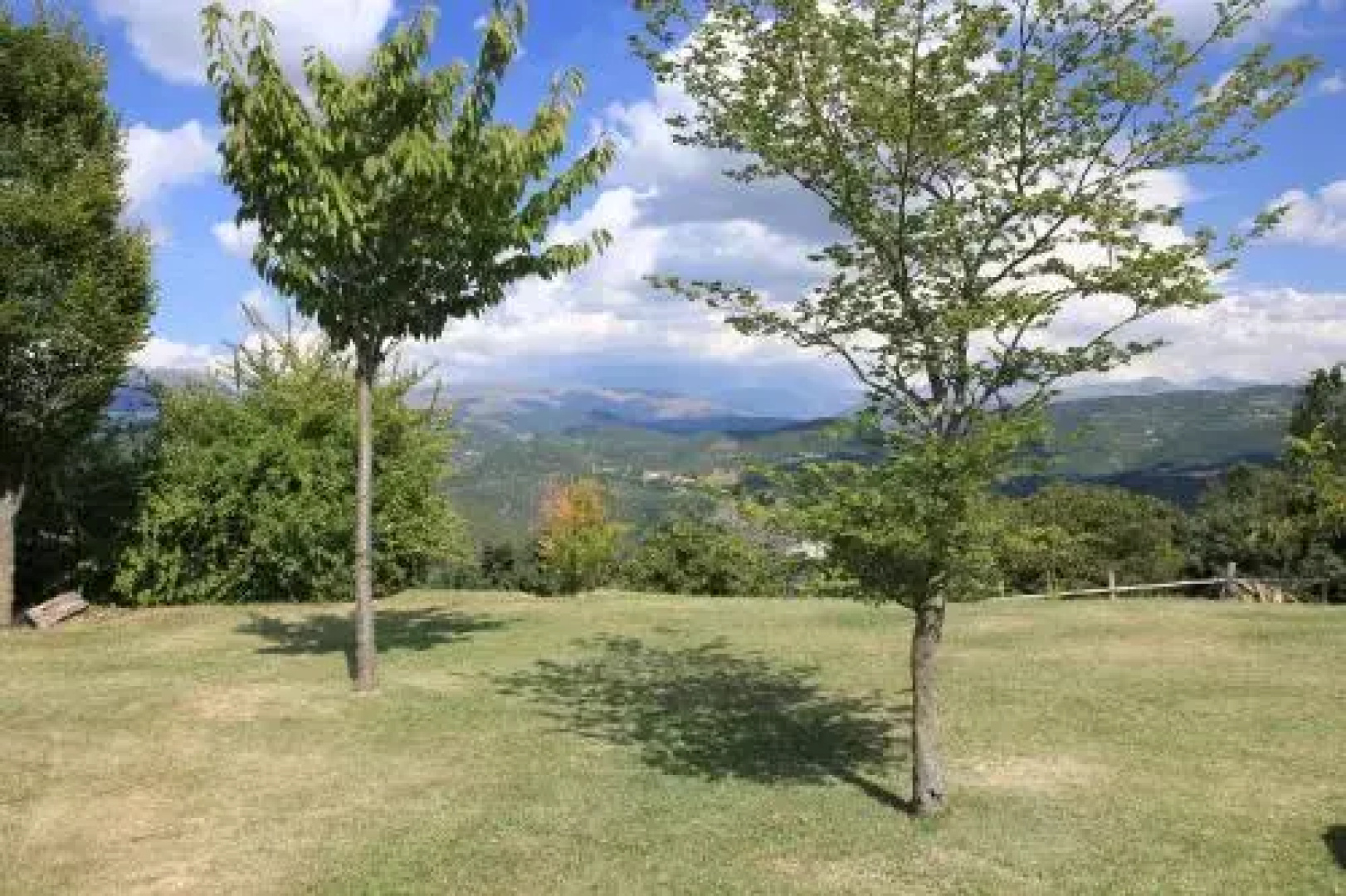 La Ginestra