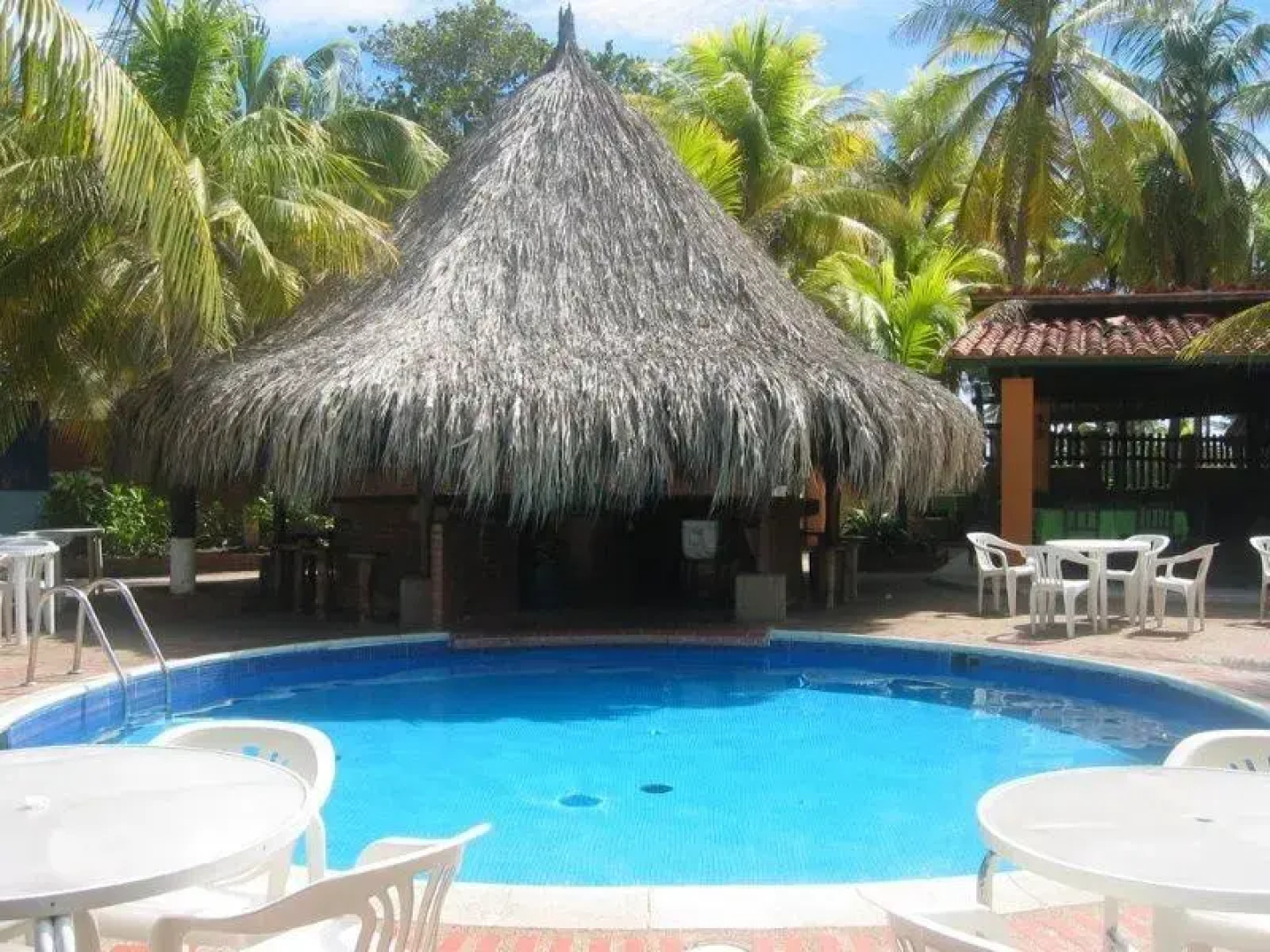 Coral Caribe