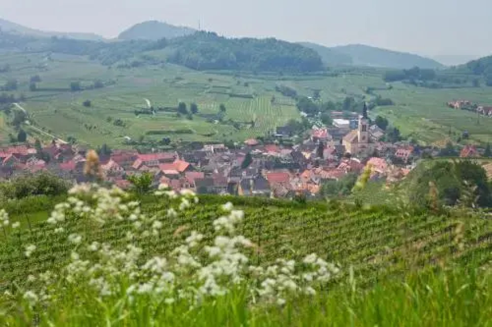 Braviscasa Haus am Bach Kaiserstuhl