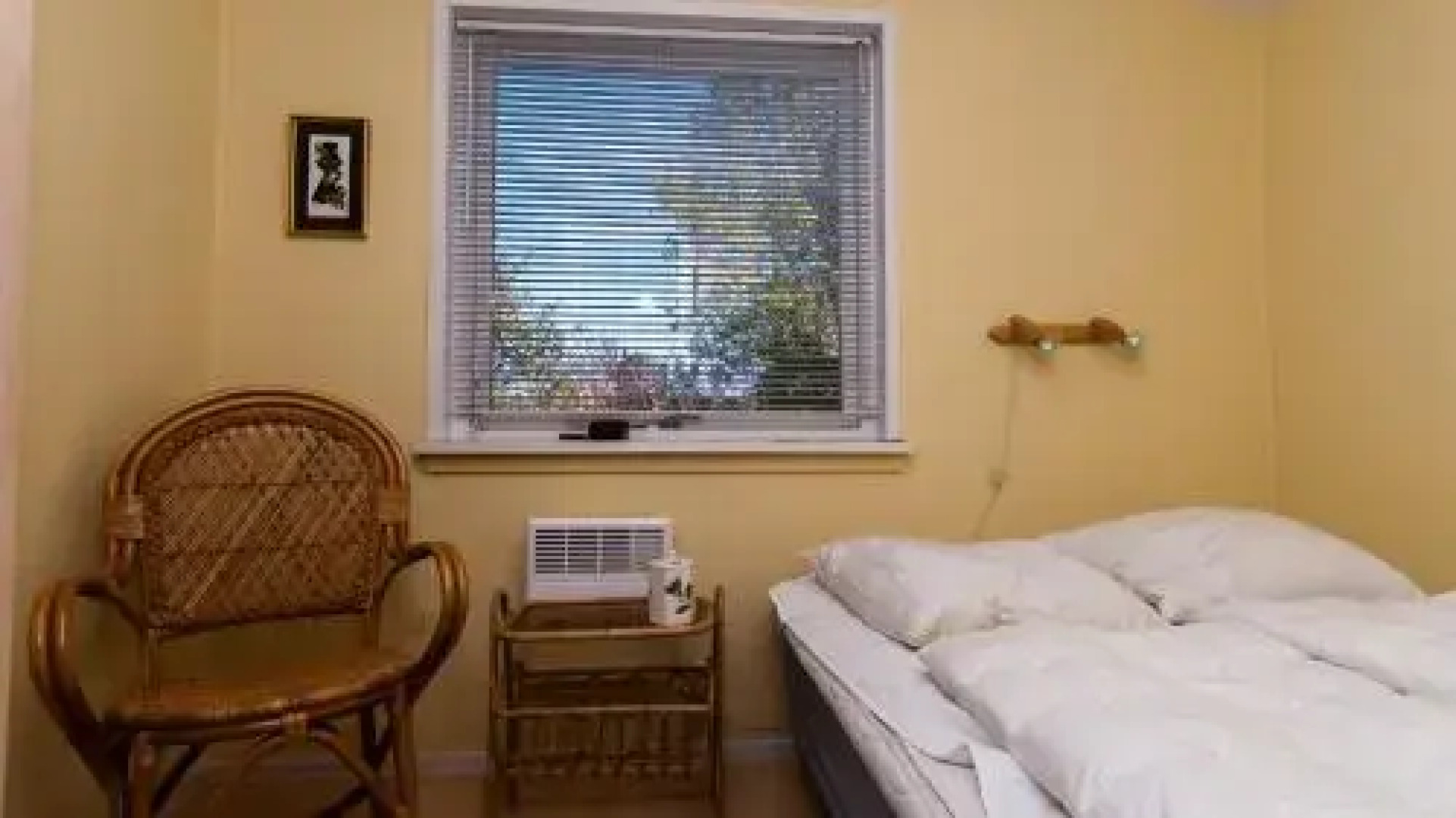 Anemone 14 Holiday House