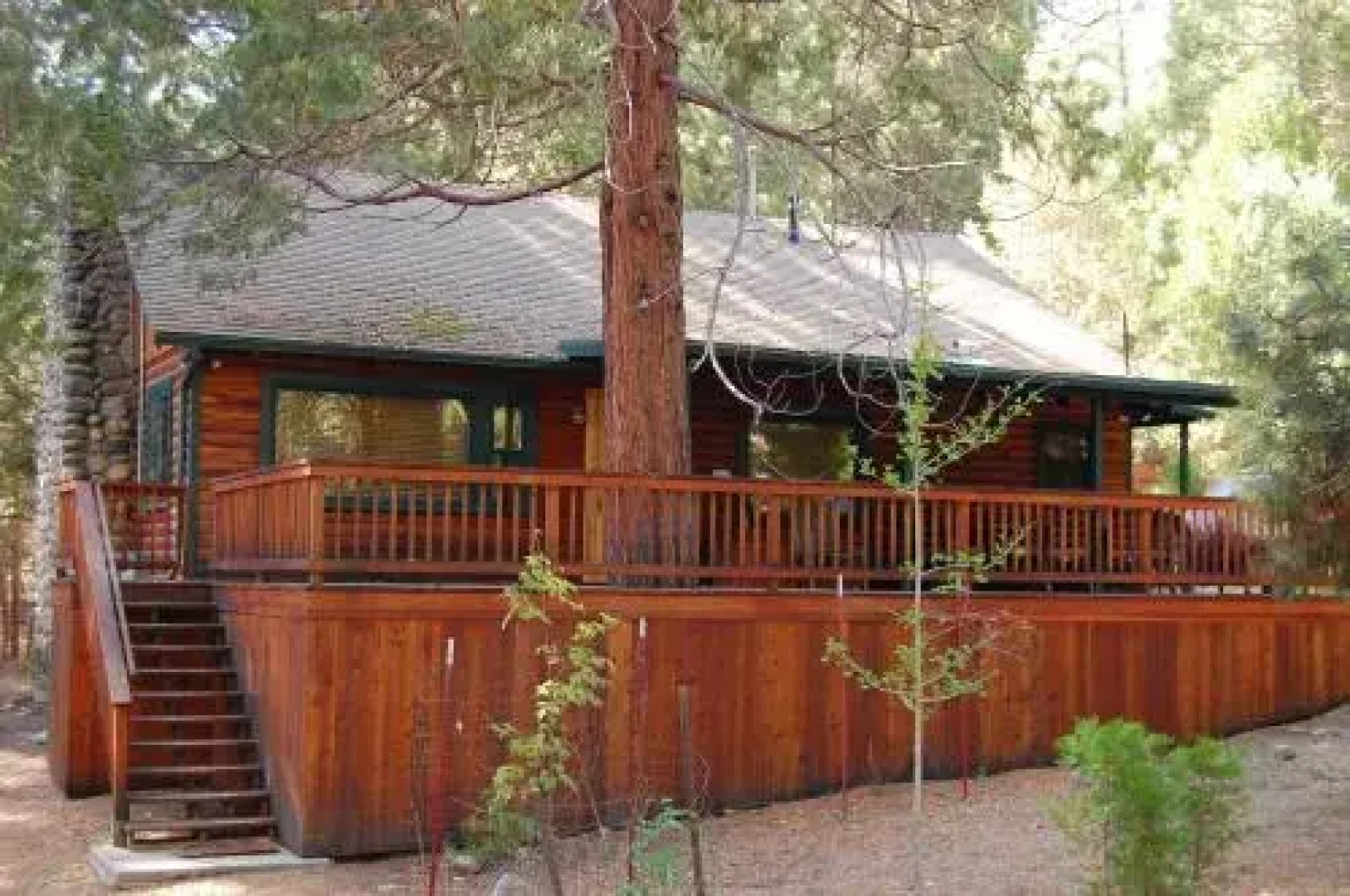 Sugar Pine Suite