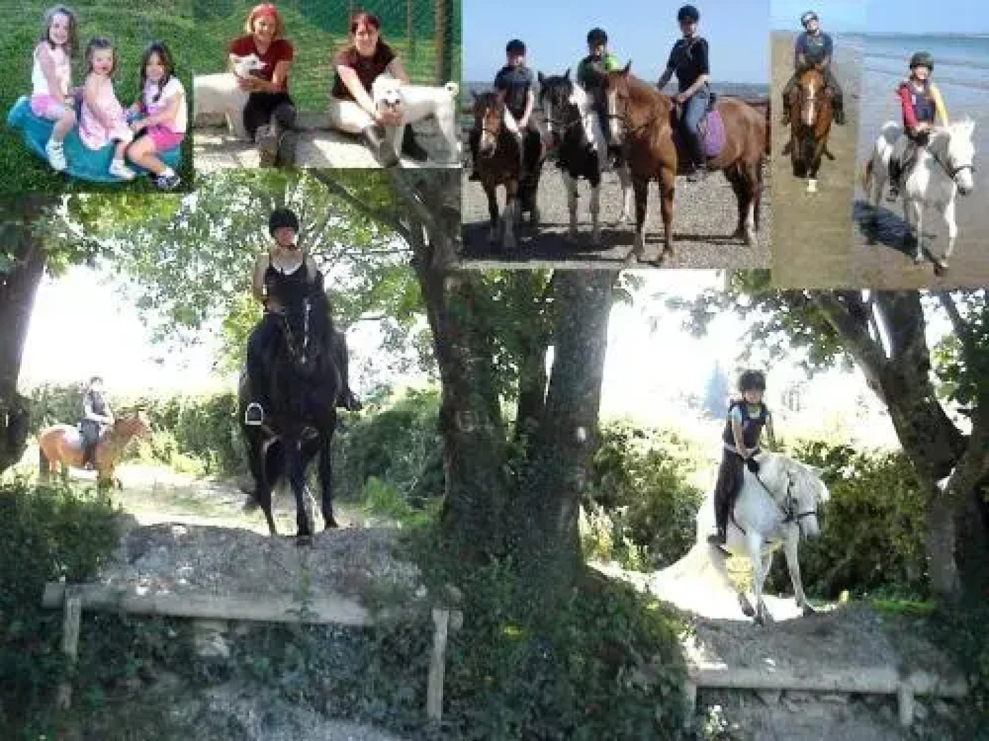 Fitzgerald's Farmhouse Accommodation