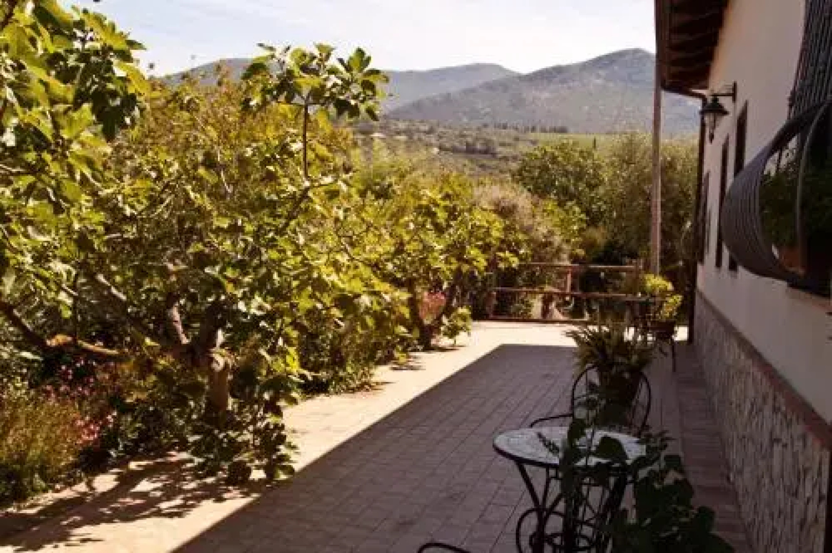 B&B Terre di Paestum