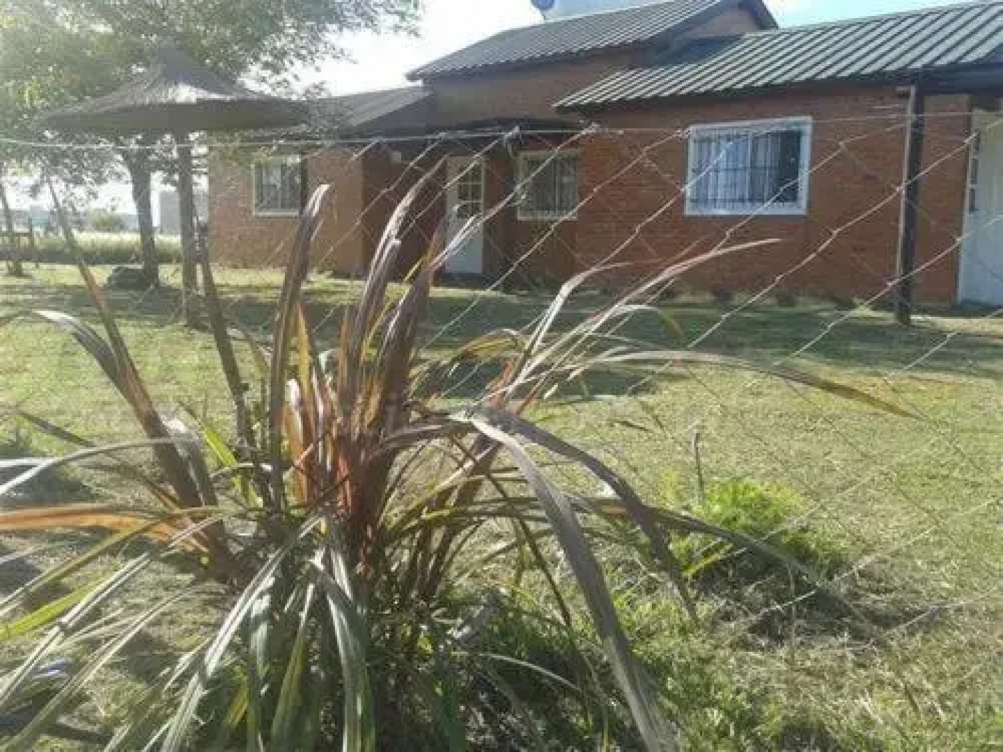 Bungalows Arandano