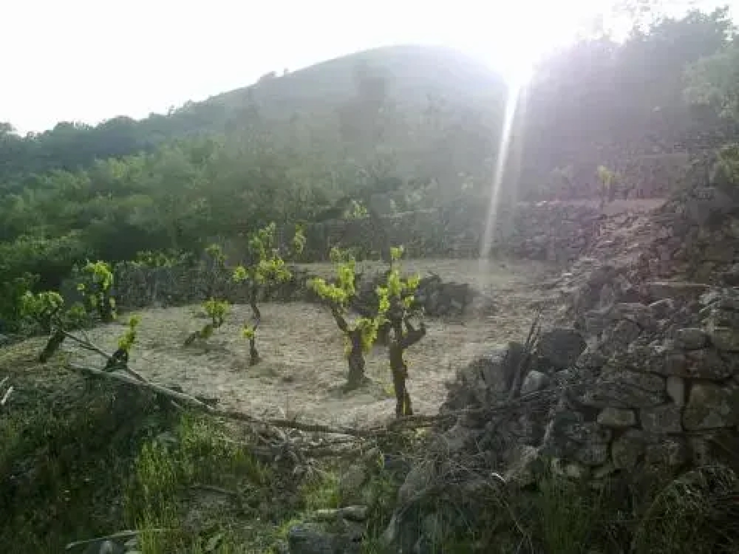 Casa Rural San Marcos