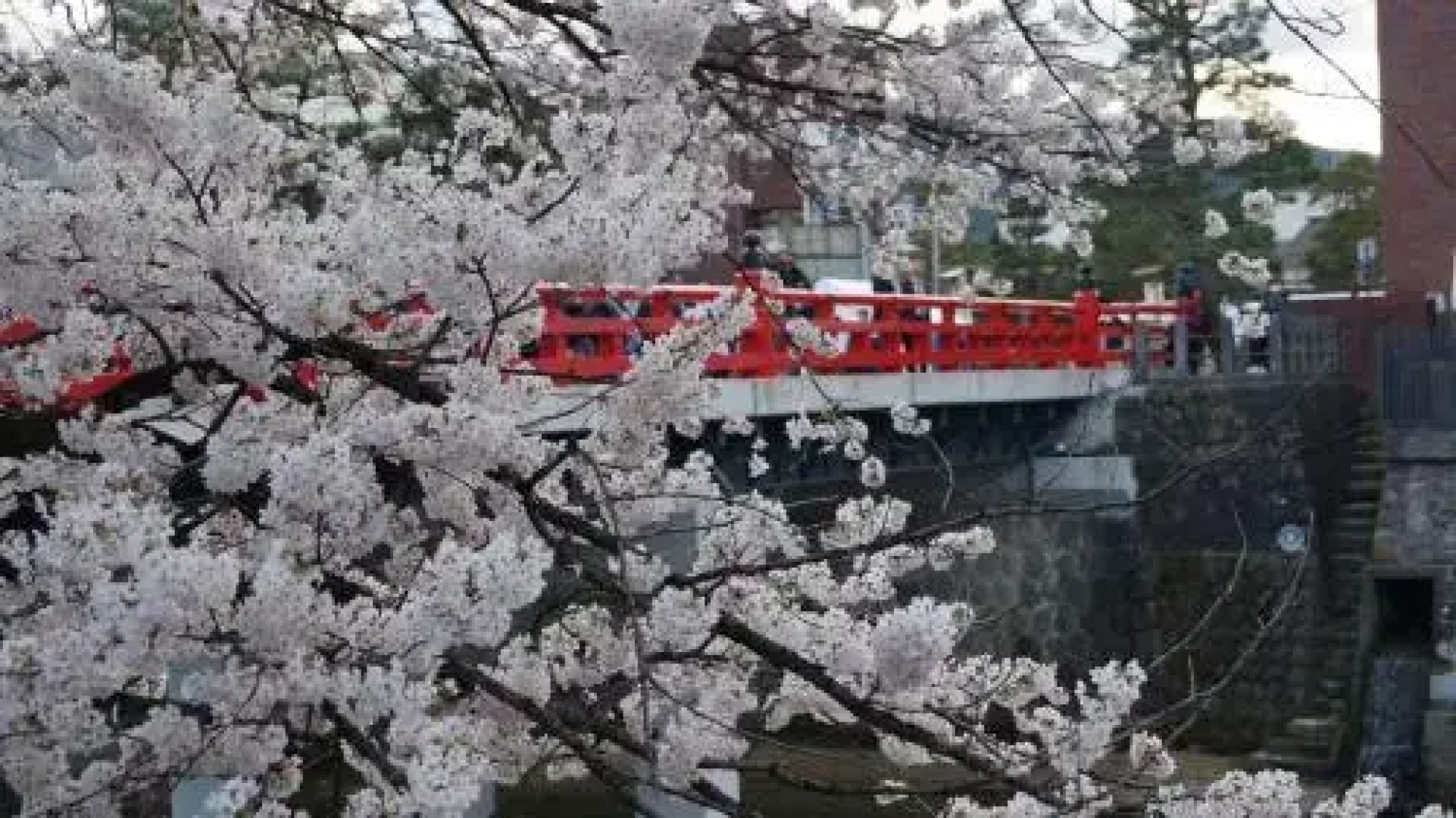 Hakuunsou