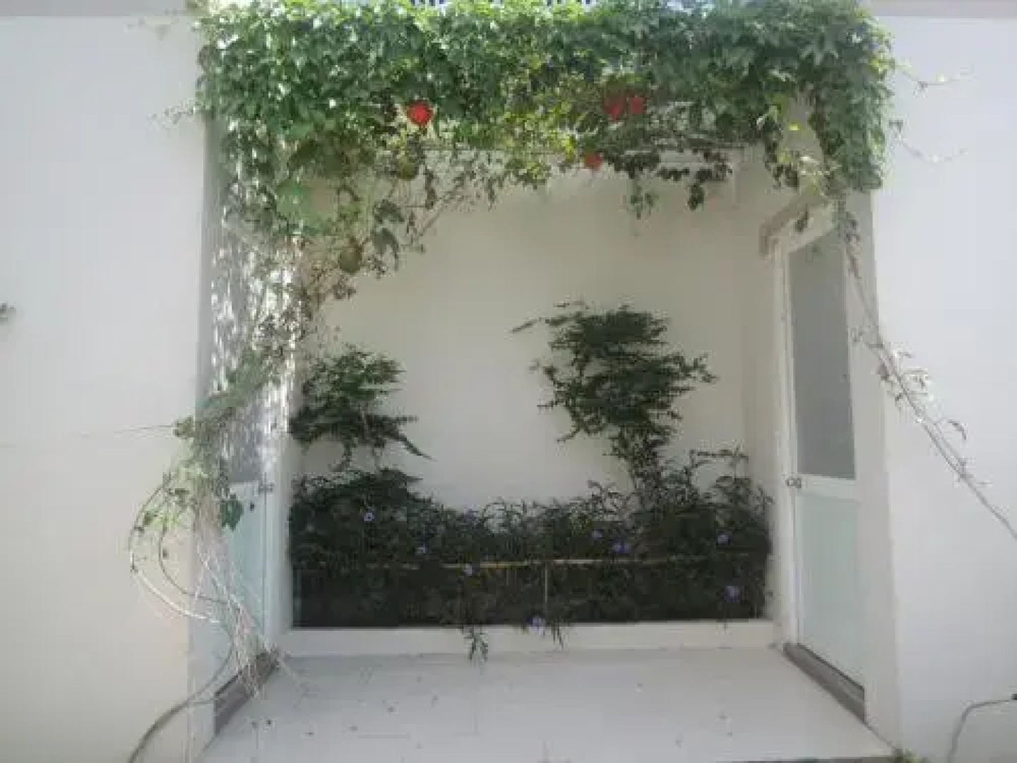 Vila Basi
