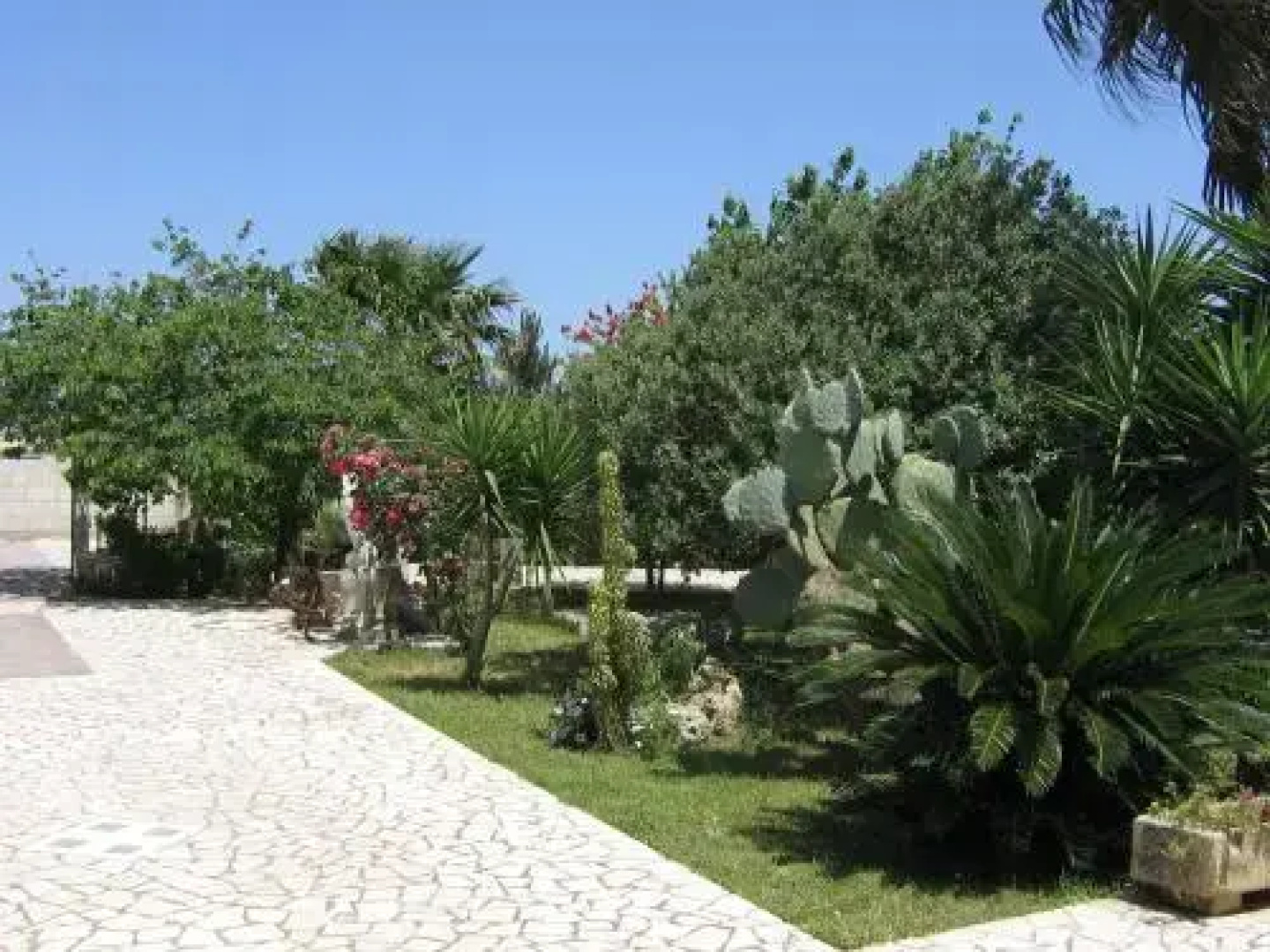 B&B Plathea