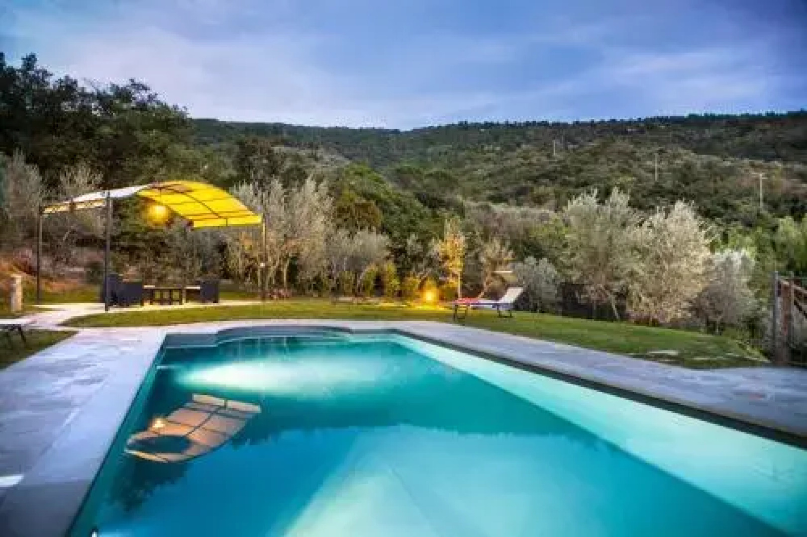 Antica Quercia Verde