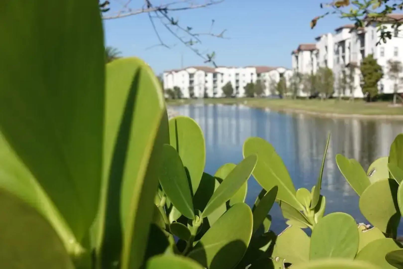 Miami Vacations Corporate Rentals - Doral