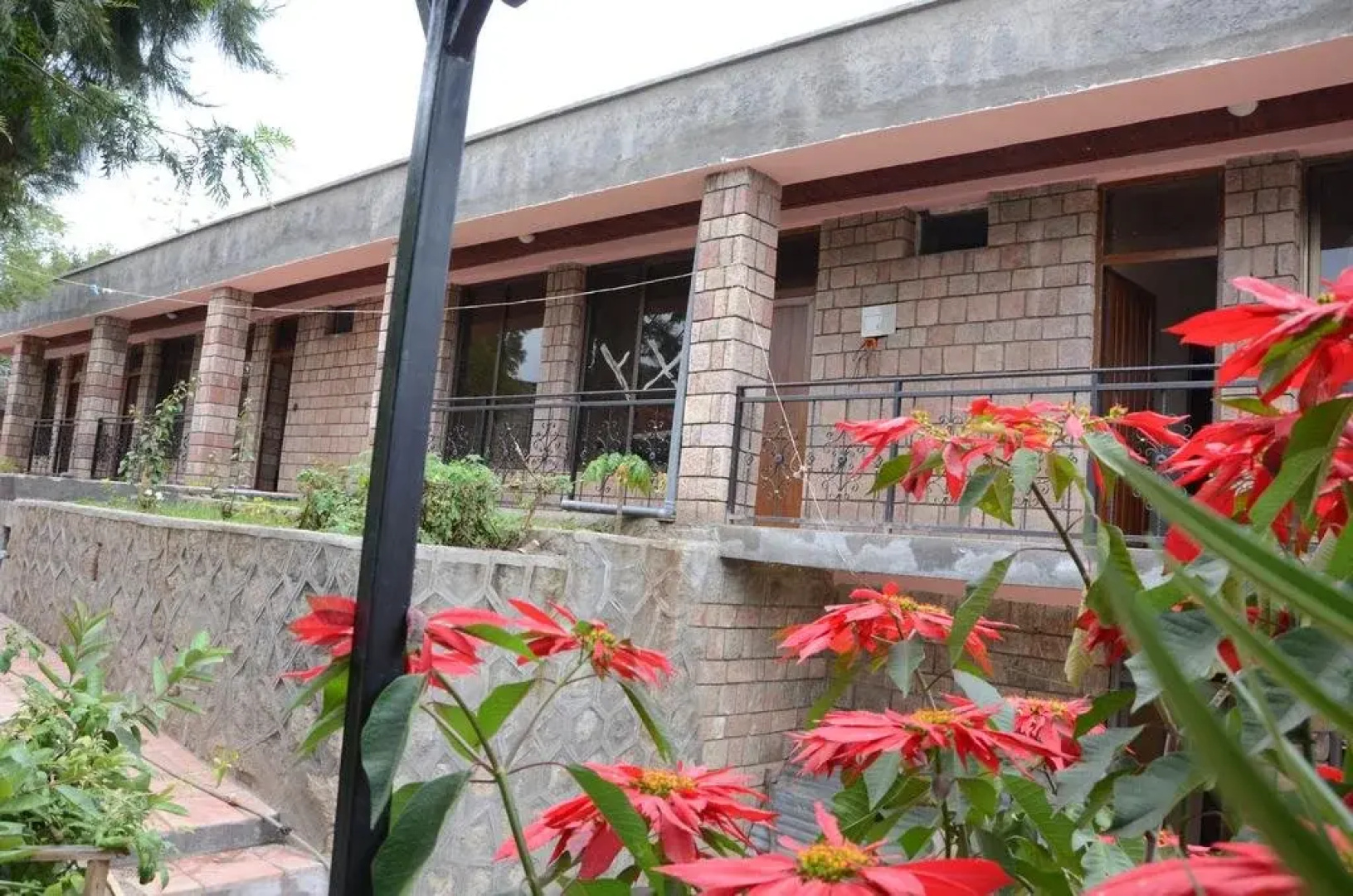 Selam Guest House