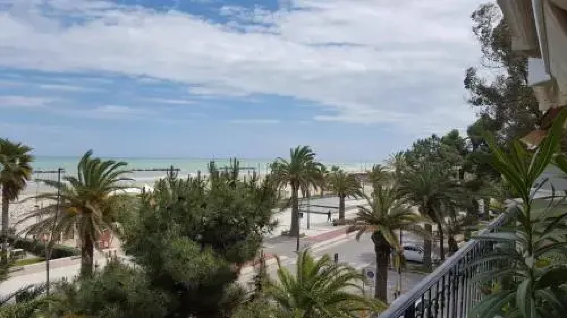 Pini sul Mare