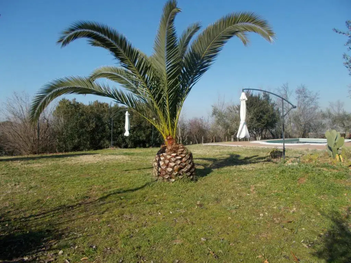 Parco Degli Ulivi