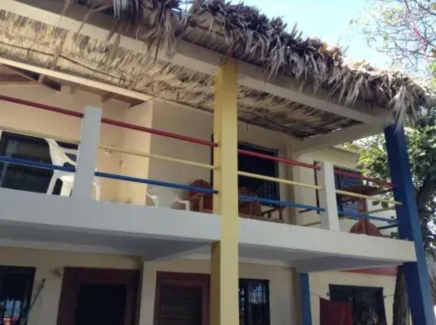 De Real Macaw