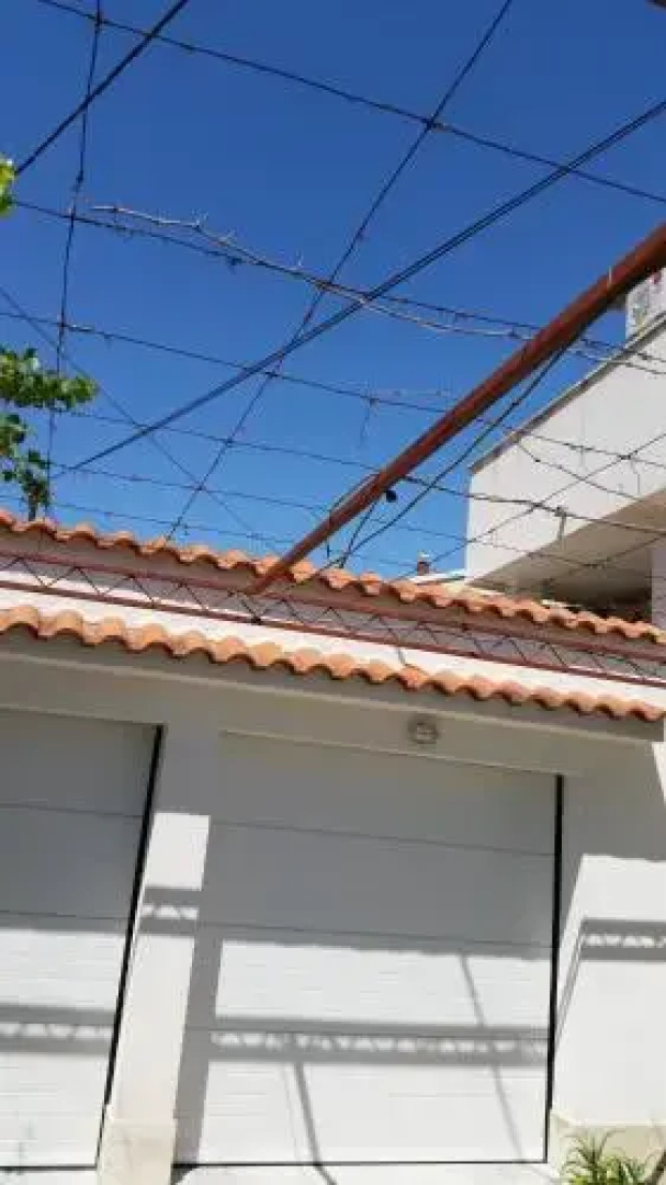 Apartment Mira