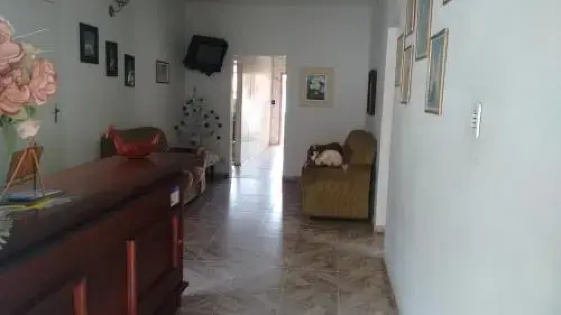 Pousada Samambaia