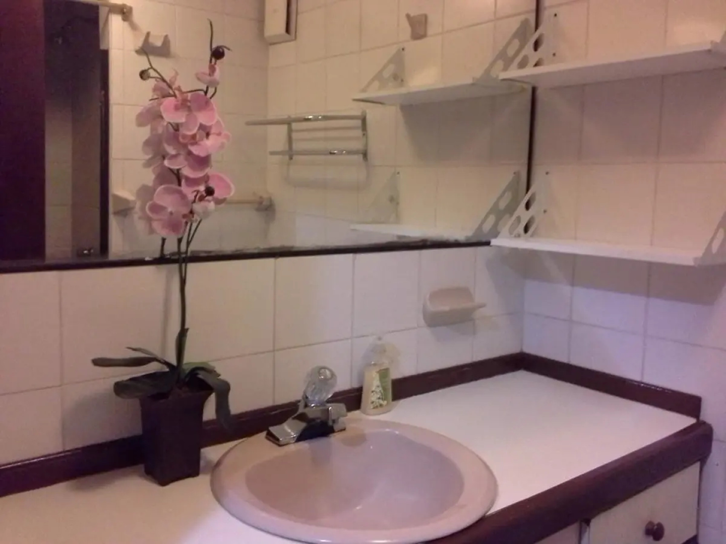 Guest House El Bosque
