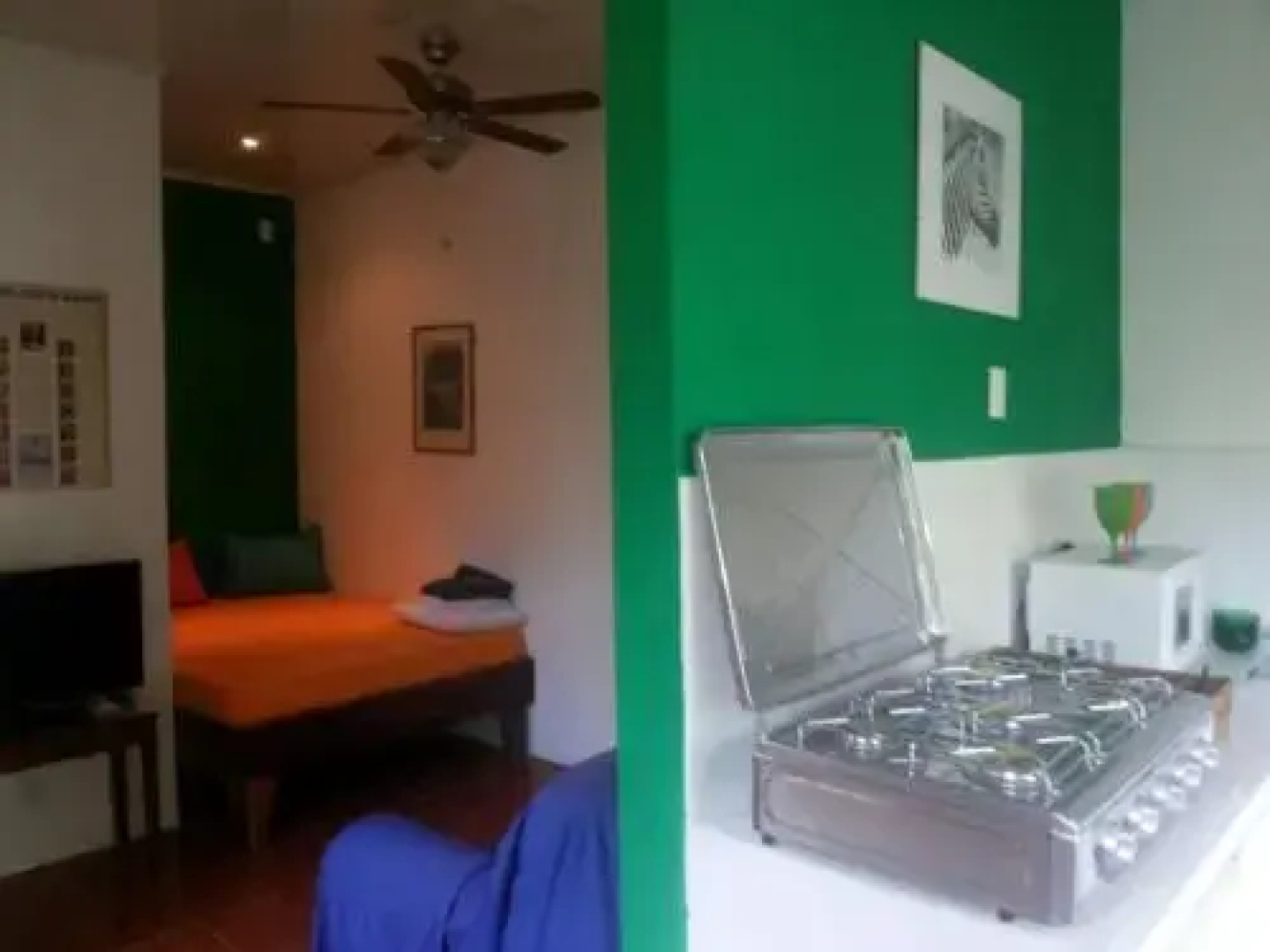 Casa Vikingo