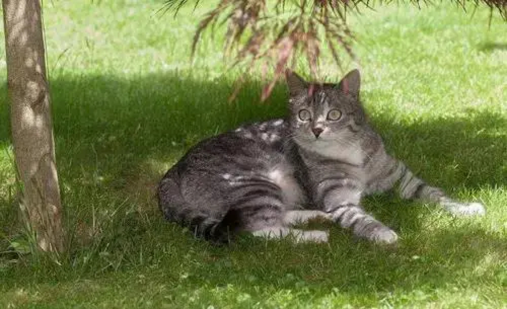 Appartements Residence Ganthaler