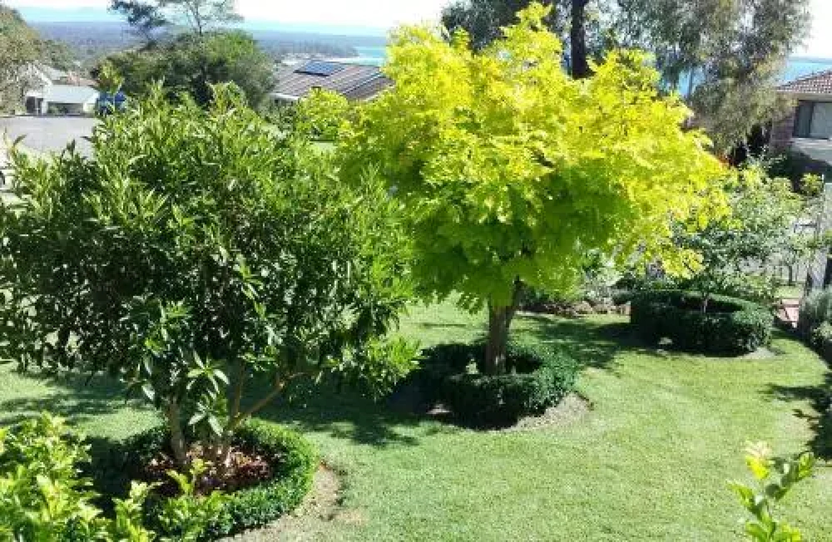 Jervis Bay Blue - Vincentia