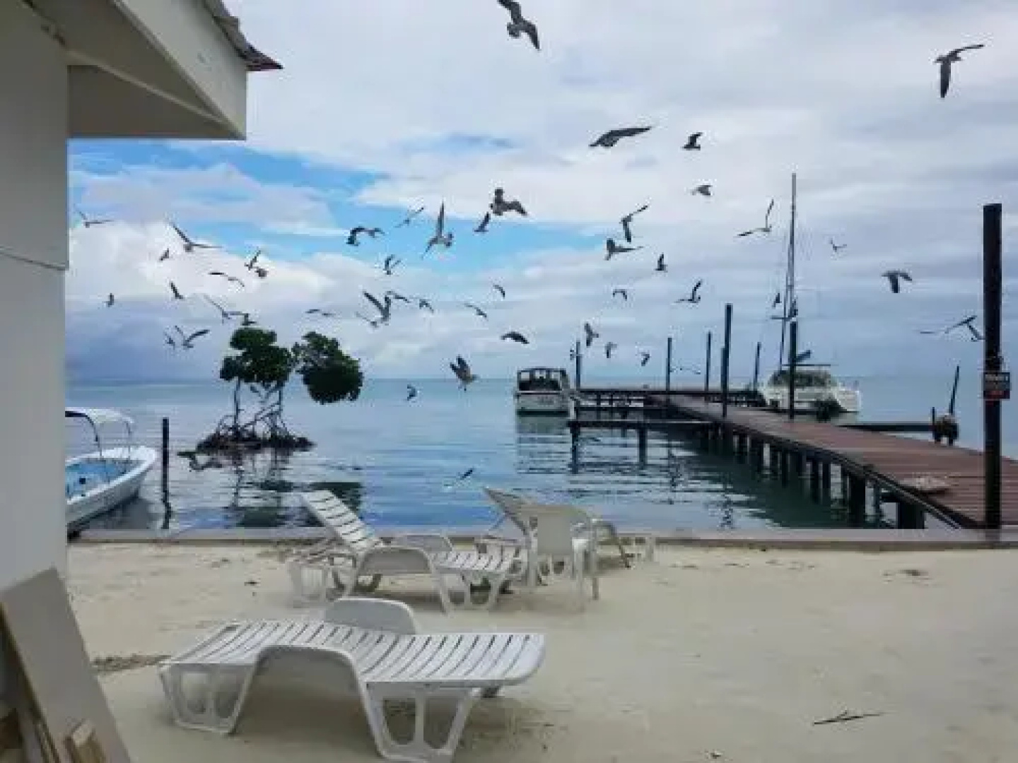 The Club At Caye Caulker