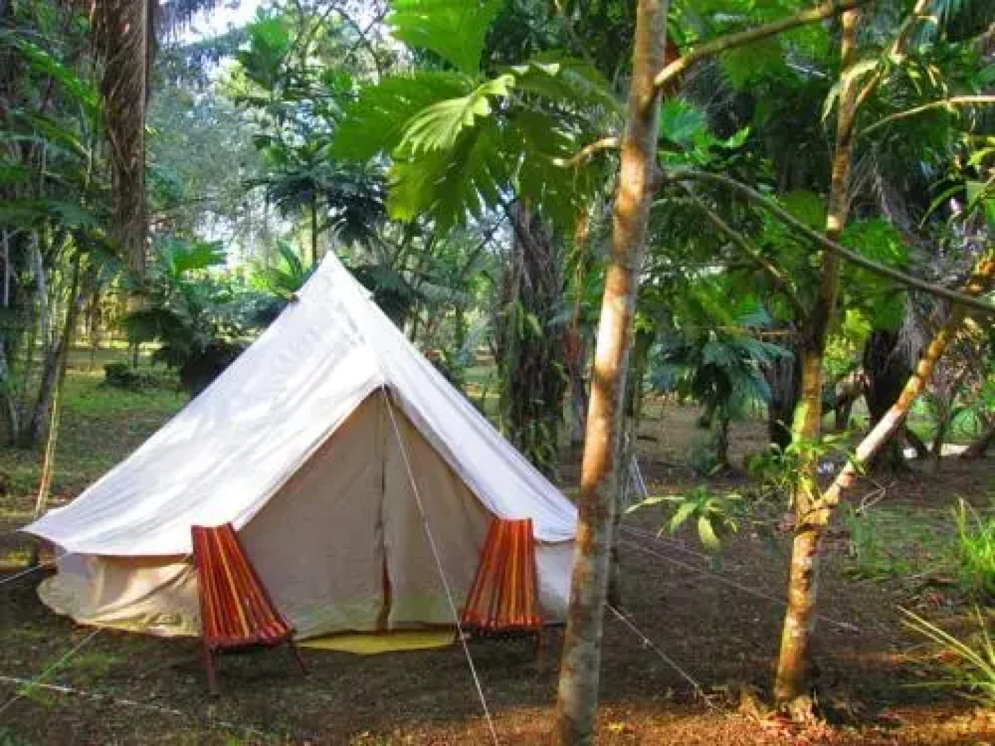 Chaya Maya Jungle Lodge