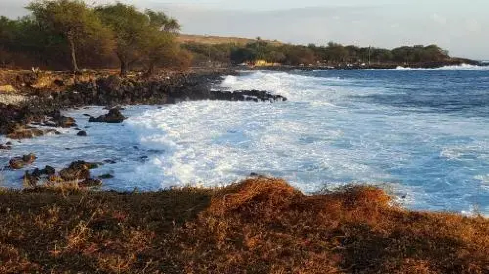 Aloha Cottage