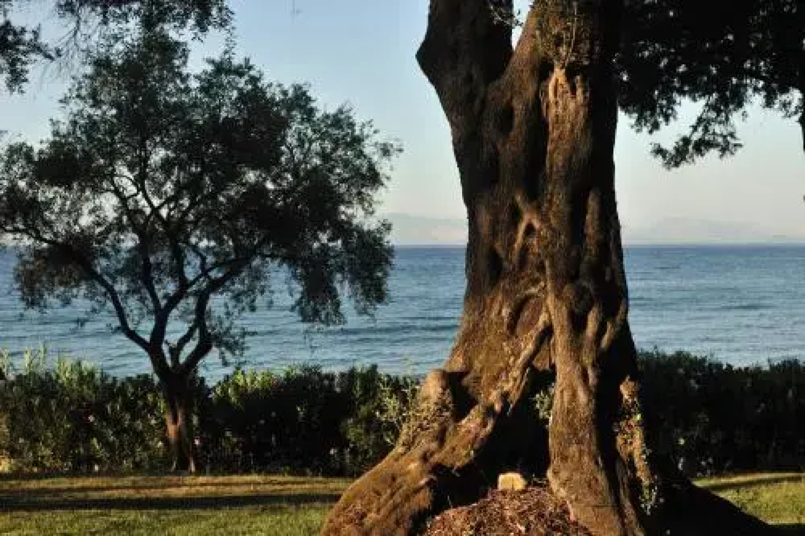 Love Studio In Agia Pelagia, Corfu