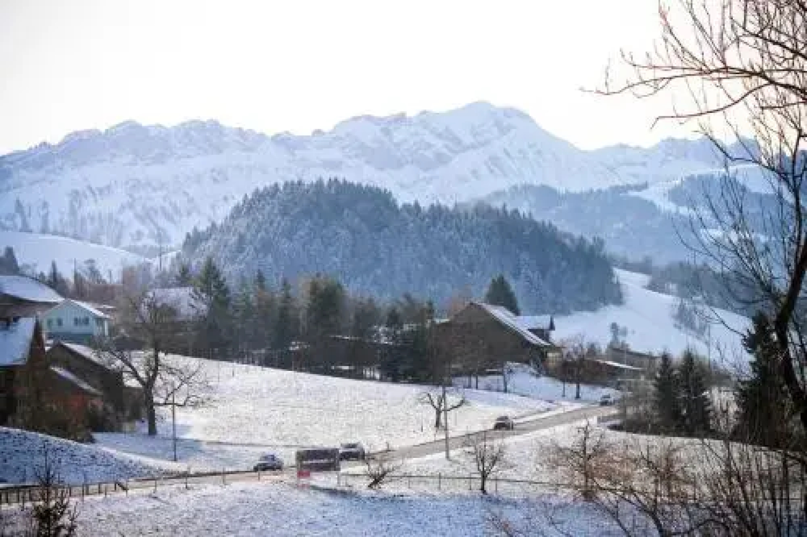 Hotel Adler