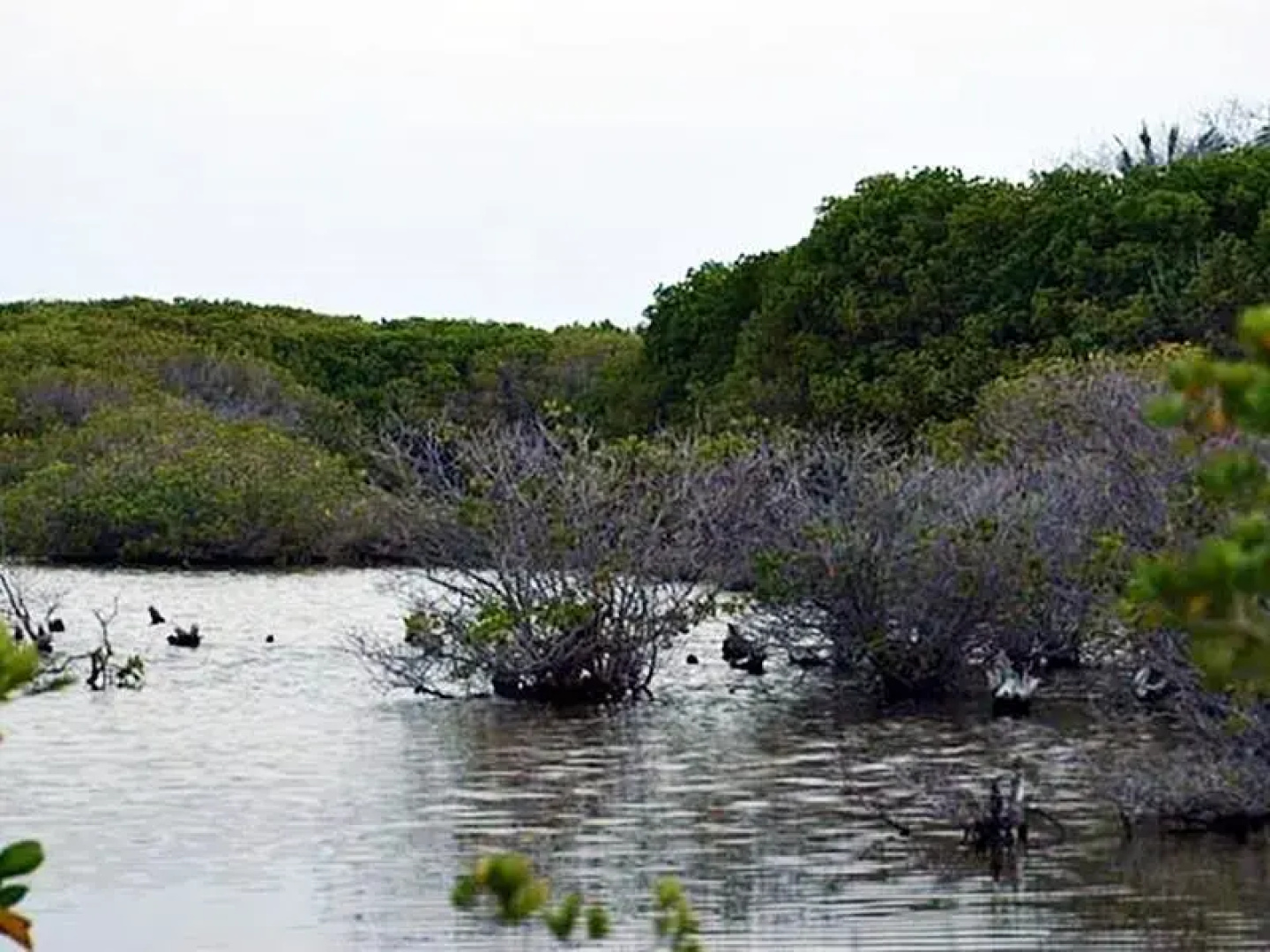 Famoso Inn Kulhudhhuffushi