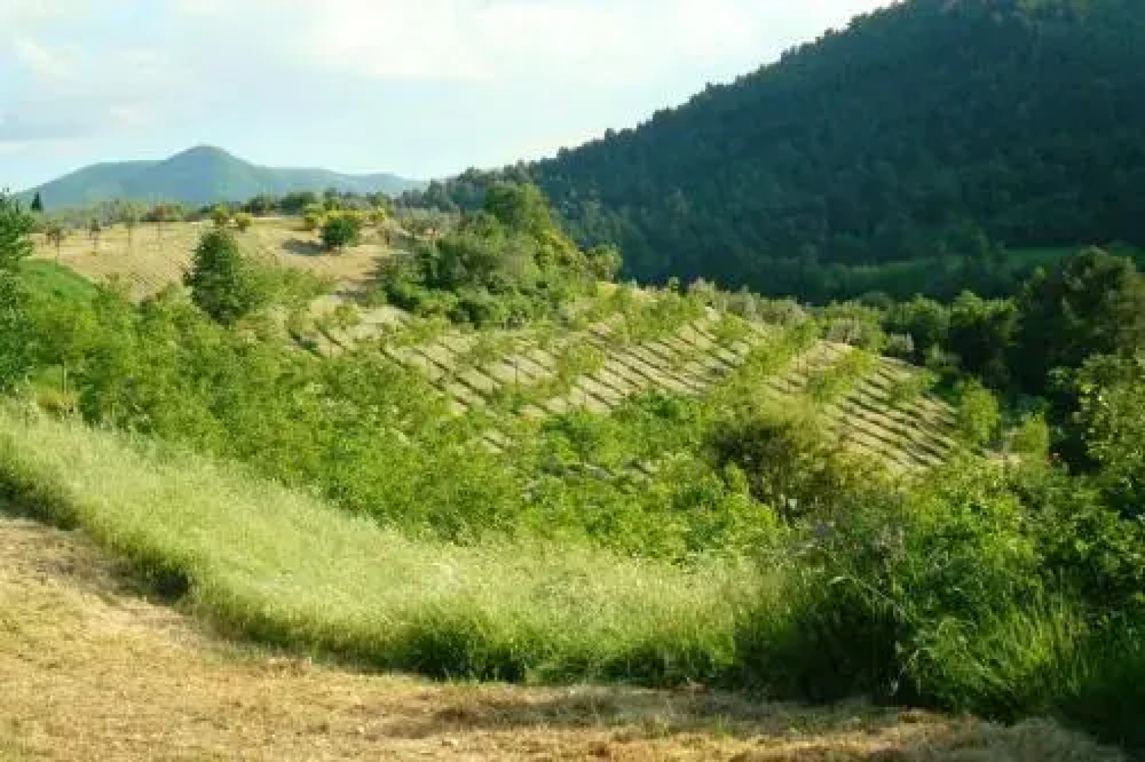 Agriturismo La Paladina
