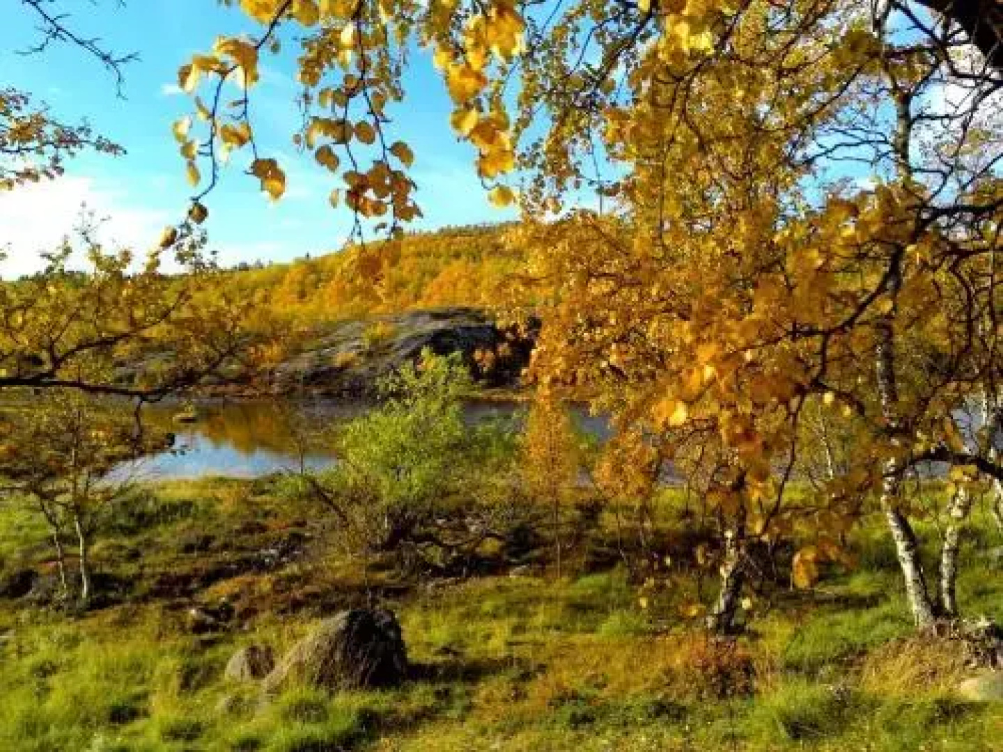 Rajamotelli Näätämö