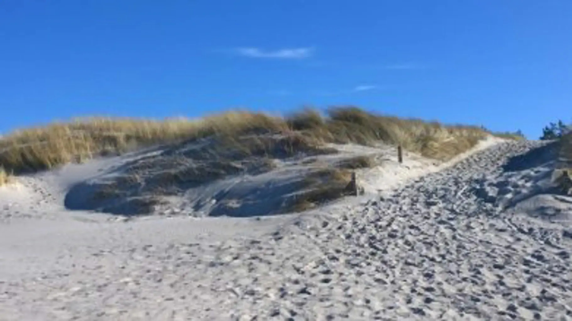 Ostsee Ferienappartement Dierhagen-Strand