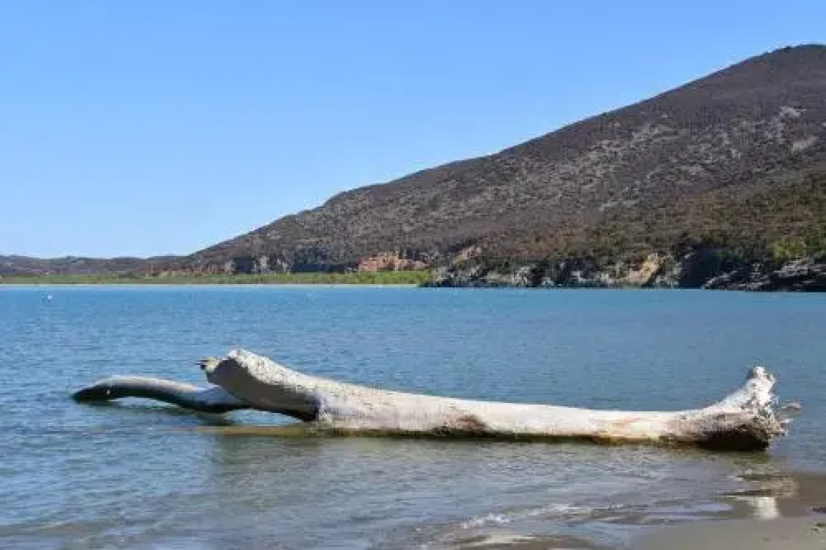 Giardino Di Maremma