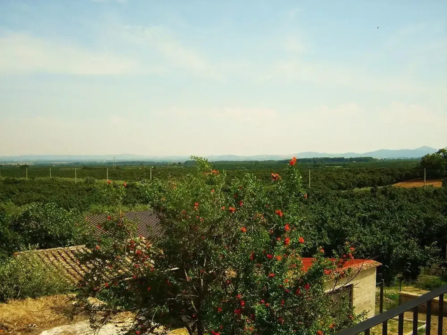 Agriturismo Casale Zuccari