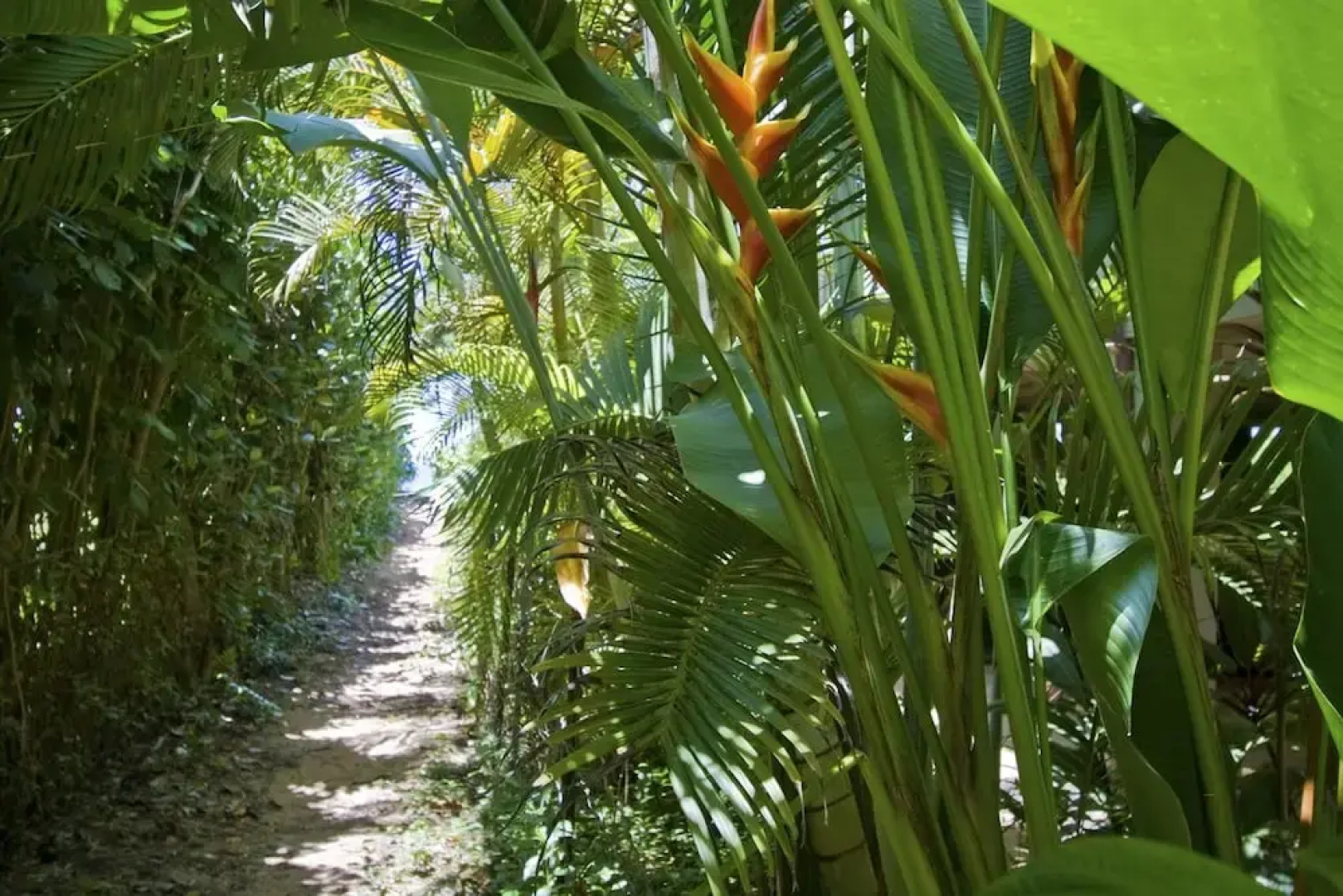 Hale O'Pulelehua with Guest House 5Br Home