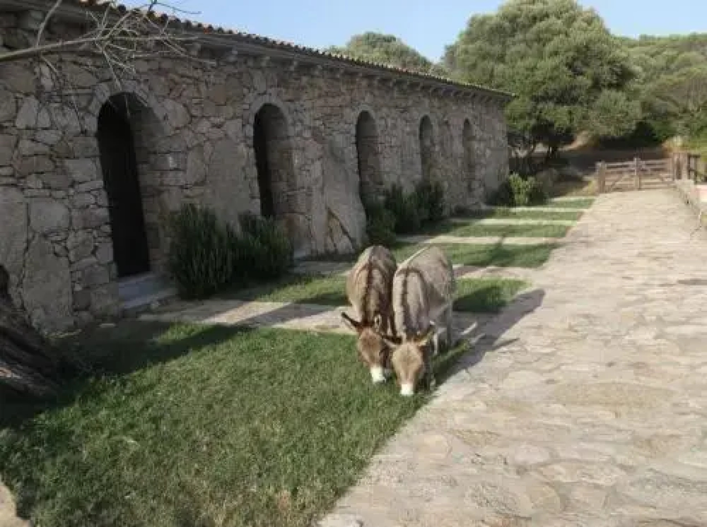 L Incantu